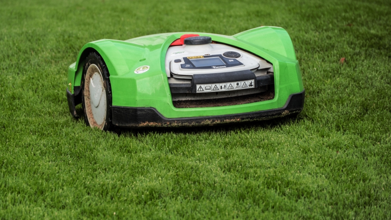 jardinerie-DALUIS-min_lawn-mower-2914172